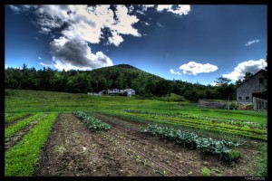 hdr_farm