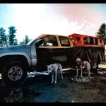 sled_dogs_hdr