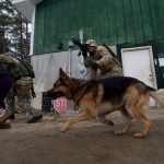 Running and Gunning with hostage and K-9